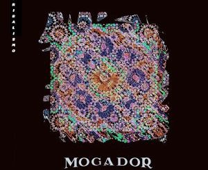 Tribalismo – Mogador