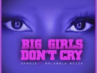 2PM DJs – Big Girls Don’t Cry Ft. Nhalnhla Nciza