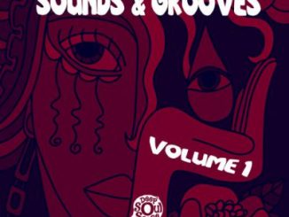 ALBUM: VA – Sounds & Grooves, Vol. 1 (Zip File)