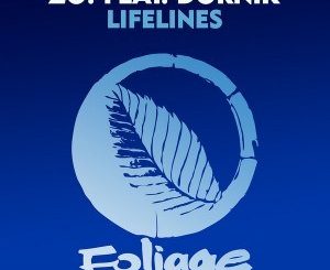 Zo! - Lifelines (N’Dinga Gaba Reelmix) Ft. Dornik