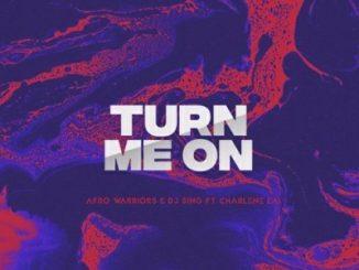 Afro Warriors & Dj Sing - Turn Me On (Vocal Mix) Ft. Charlene Lai