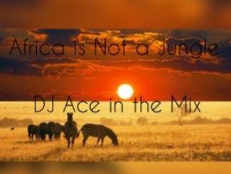 Dj Ace – Africa is Not a Jungle Mix