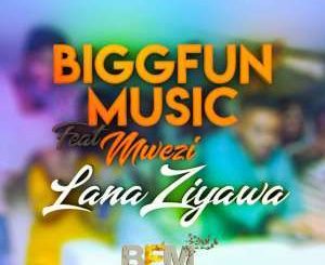 BiggFunMusic - LanaZiyawa (Original Mix)