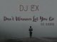 DJ EX - Don’t Wanna Let You Go Ft. Blaqbone