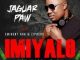 Jaguar Paw – Imiyalo (Original Mix) Ft. Eminent Fam & ZiPheko