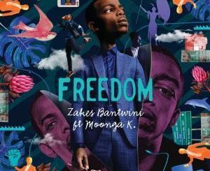 Zakes Bantwini - Freedom Ft. Moonga K