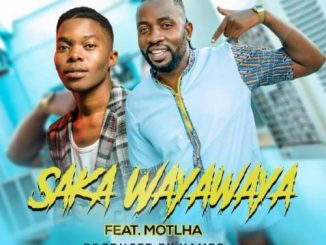 Mingo Touch – Saka Wayawaya Ft. Motlha