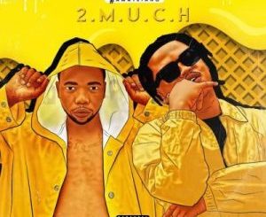 Gobi Beast – 2 Much ft Focalistic