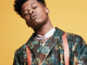 Nasty c – racism snippet