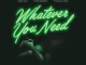 Meek Mill Ft. Chris Brown & Ty Dolla $ign – Whatever You Need