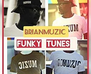 BrianMuzic - Funky Tunes (Original Mix)