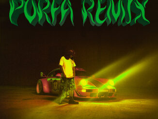 Feid, J Balvin, Maluma, Nicky Jam, Sech & Justin Quiles – PORFA (Remix)