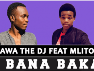 Salmawa The DJ - Bana Baka Ft. Mlitos (Original)