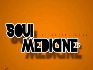 Distinctive Soul – Soul Medicine