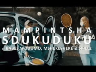 Mampintsha – Sdukuduku Ft. Babes Wodumo & Mshekesheke