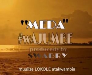 Meda – Wajumbe