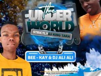 DJ Ali Ali – Underworld Mix vol.1 (Strictly King Tara) Ft. Dj Beekay