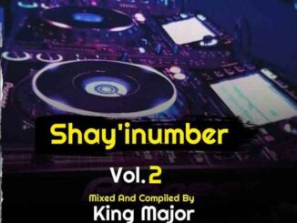 Djy King Major – Shaye i’namba Vol 02 Mix