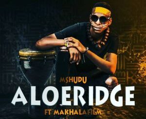 Mshudu – Aloeridge Ft. Makhalafilm