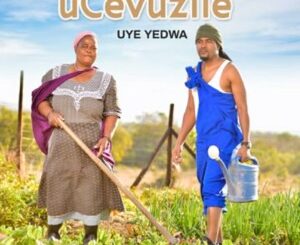 uCevuzile - Andisabaweli