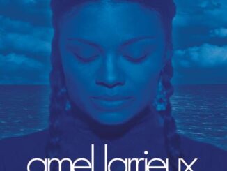 ALBUM: Amel Larrieux – Infinite Possibilities