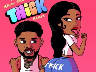 DJ Chose & Megan Thee Stallion – THICK (Remix)