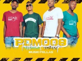 Music Fellas – PDM008 (Festive Mixtape)