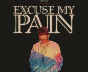 J.I the Prince of N.Y – Excuse My Pain