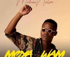 MalumNator – Umlilo Ft. De Mthuda & Ntokzin