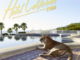 ALBUM: Tyga – Hotel California (Deluxe Version)