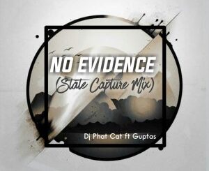 Dj Phat Cat – No evidence Ft. Guptas (State Capture Mix)