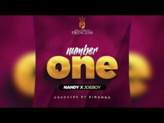 Nandy – Number One Ft. Joeboy