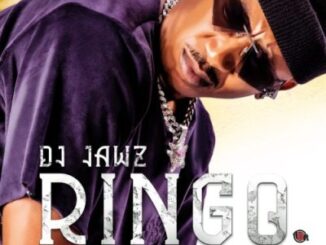 DJ jawz – Ringo Feat. Bob Mabena, Reece Madlisa, Zuma & Busta 929