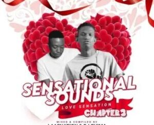 LaasNation – Sensational Sounds Chapter 3 Mix Ft. Dj Shima (Love Sensation)