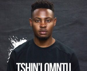 DeBryan – Tshin’ lomntu Ft. Tebogo Louw, Lu Ngobo, Mr Luu & MSK