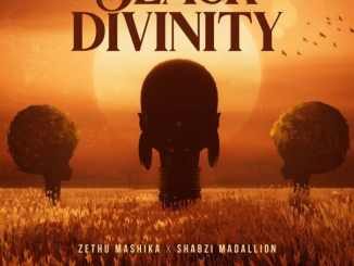 Zethu Mashika – Black Divinity Ft. ShabZi Madallion