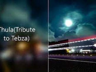 Adrean Da Dj – Thula (Tribute to Tebza)