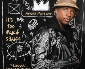 Andile Mpisane – It’s Too Much Sauce Ft. Lady Du, Reece Madlisa & Zuma