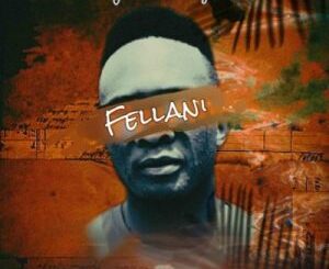 Fellani – Liyashona ilanga Ft. PuleNP Rsa