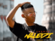 Tbeatza – Naledi ft. Mabonzi k’phela