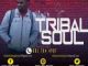 Tribal Soul – SOA Exclusive Selections Vol. 1