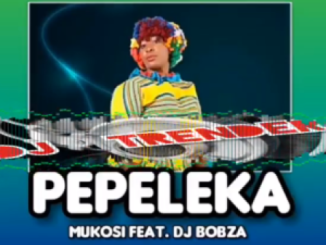 Mukosi – PEPELEKA Ft. DJ Bobza