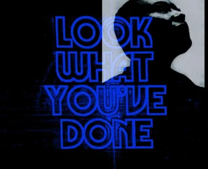 look-what-youve-done-single-emeli-sandé