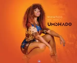 umshado-feat-heavy-k-single