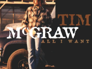 tim-mcgraw-all-i-want.