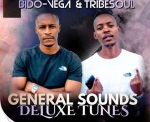 tribesoul-bido-vega-–-crowded-private-school-piano-