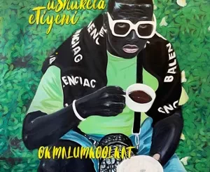 uShukela-eTiyeni-Okmalumkoolkat