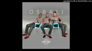 DOWNLOAD-OSbali-–-Ngubane-–.webp