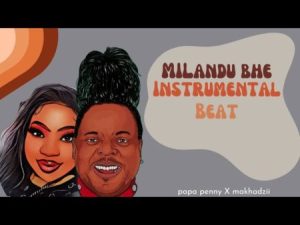 DOWNLOAD-Papa-penny-Makhadzi-–-Milandu-Ft-Master-Azart