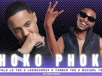 Felo Le Tee X LeeMckrazy X Muziqal tone – Phoko Phoko ! Ft. Thabza Tee